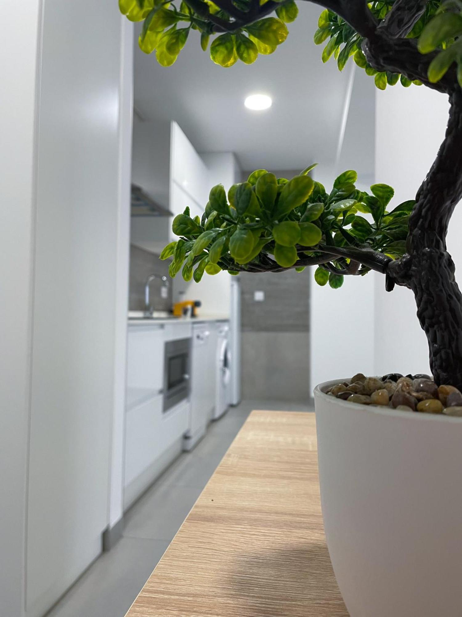 Apartamentos Lusitania Parking Gratis Bajo Disponibilidad Merida Exterior photo